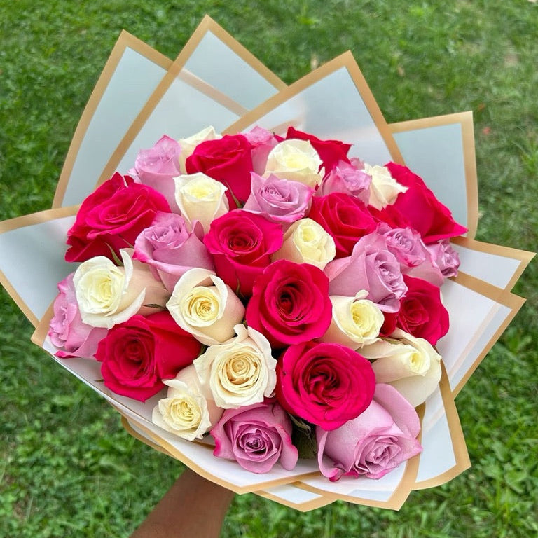 Rose Blooms